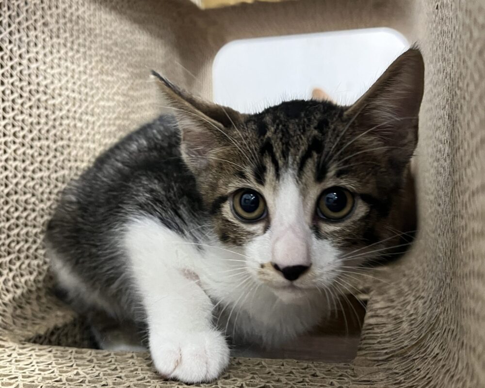 IMG_8458 (1) IMG_8458 (1)