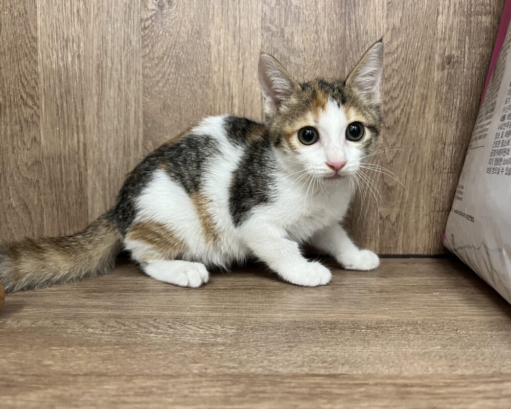 IMG_8465 (1) IMG_8465 (1)