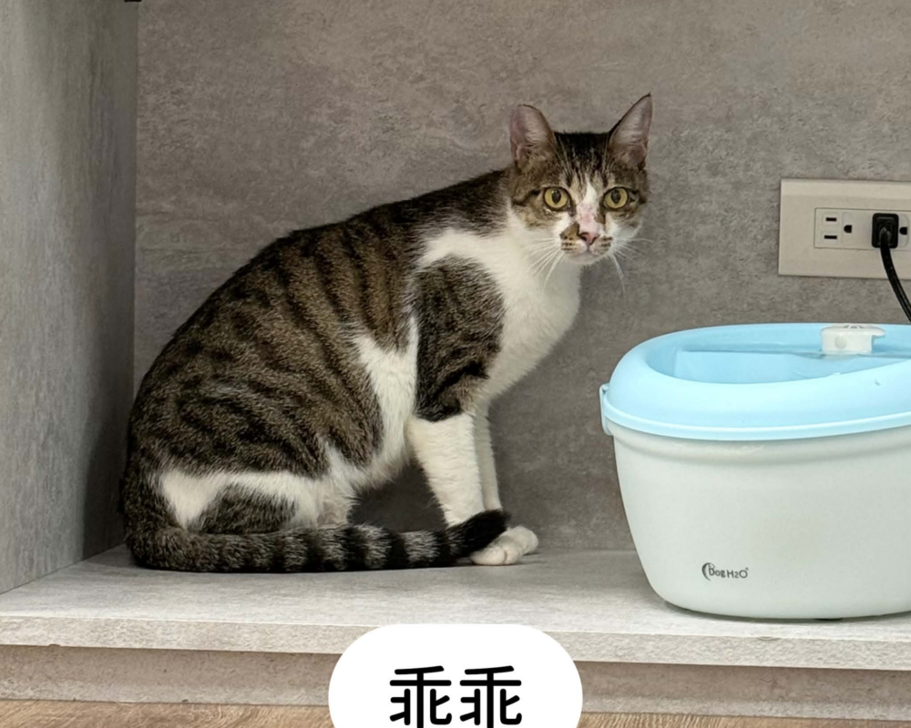 乖乖 乖乖